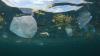 ESCAP and partners launch science-based e-learning course to tackle marine plastic litter in cities